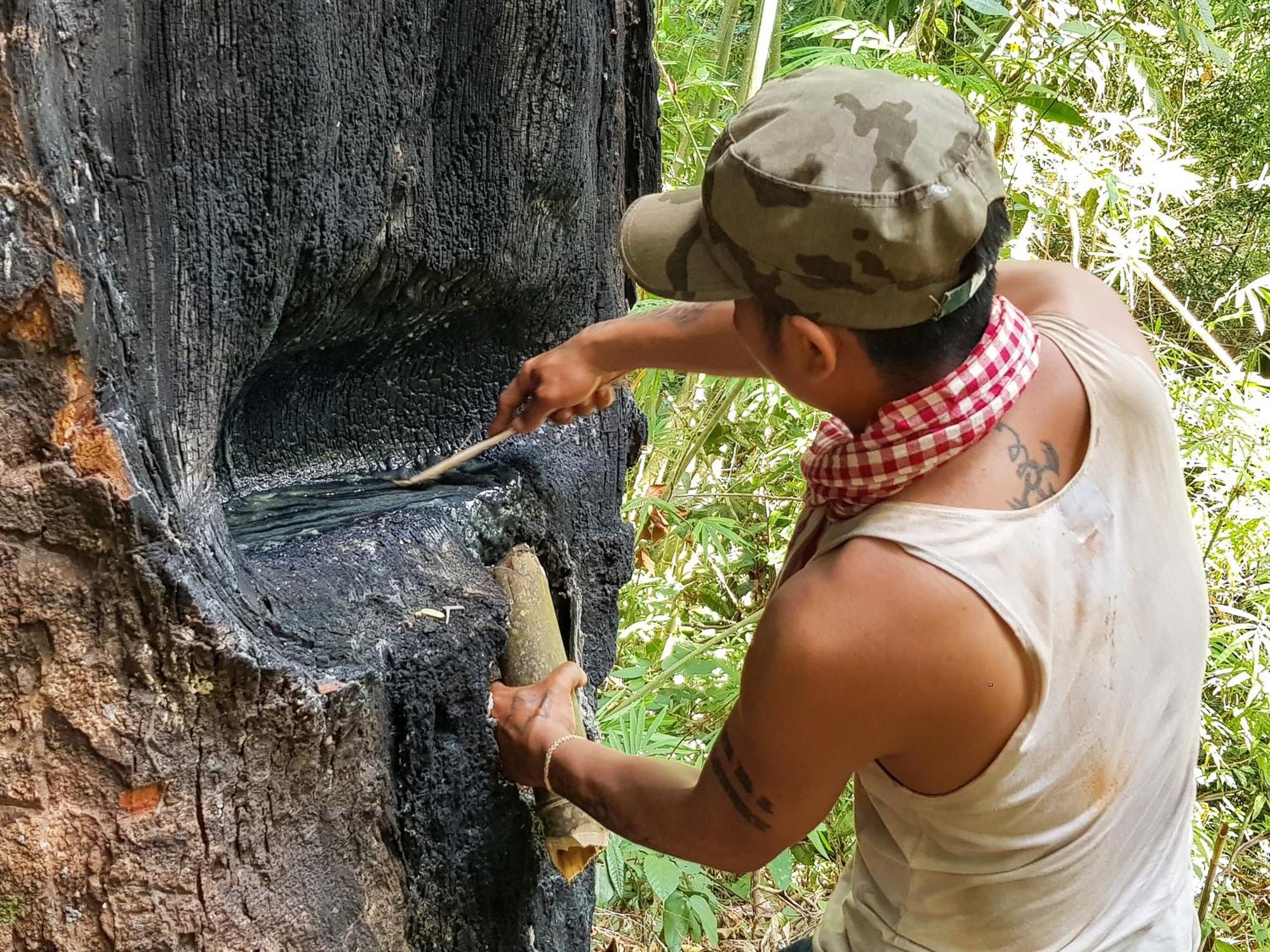 Banlung Ratanakiri Homestay & Jungle Trek מראה חיצוני תמונה