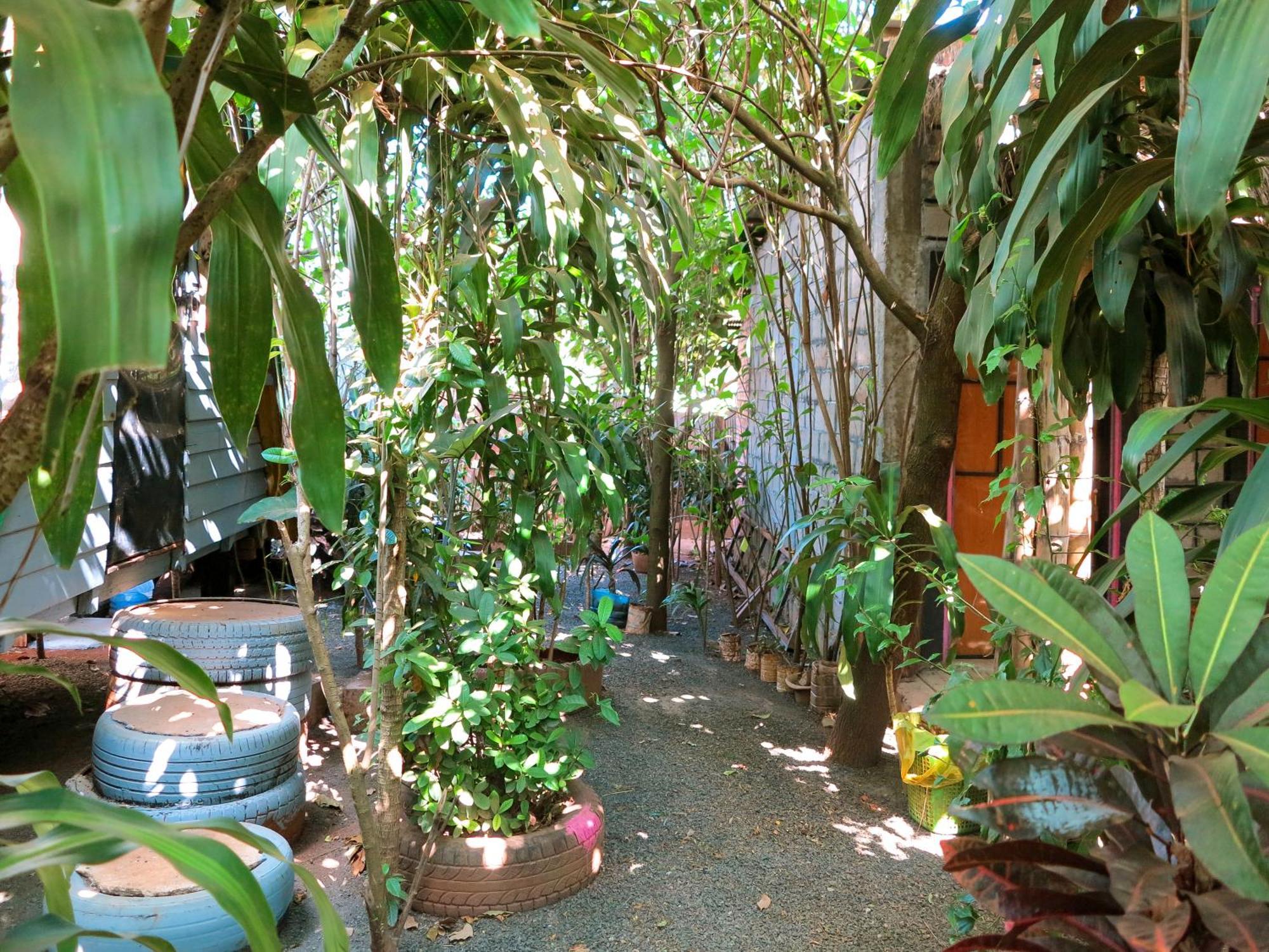 Banlung Ratanakiri Homestay & Jungle Trek מראה חיצוני תמונה